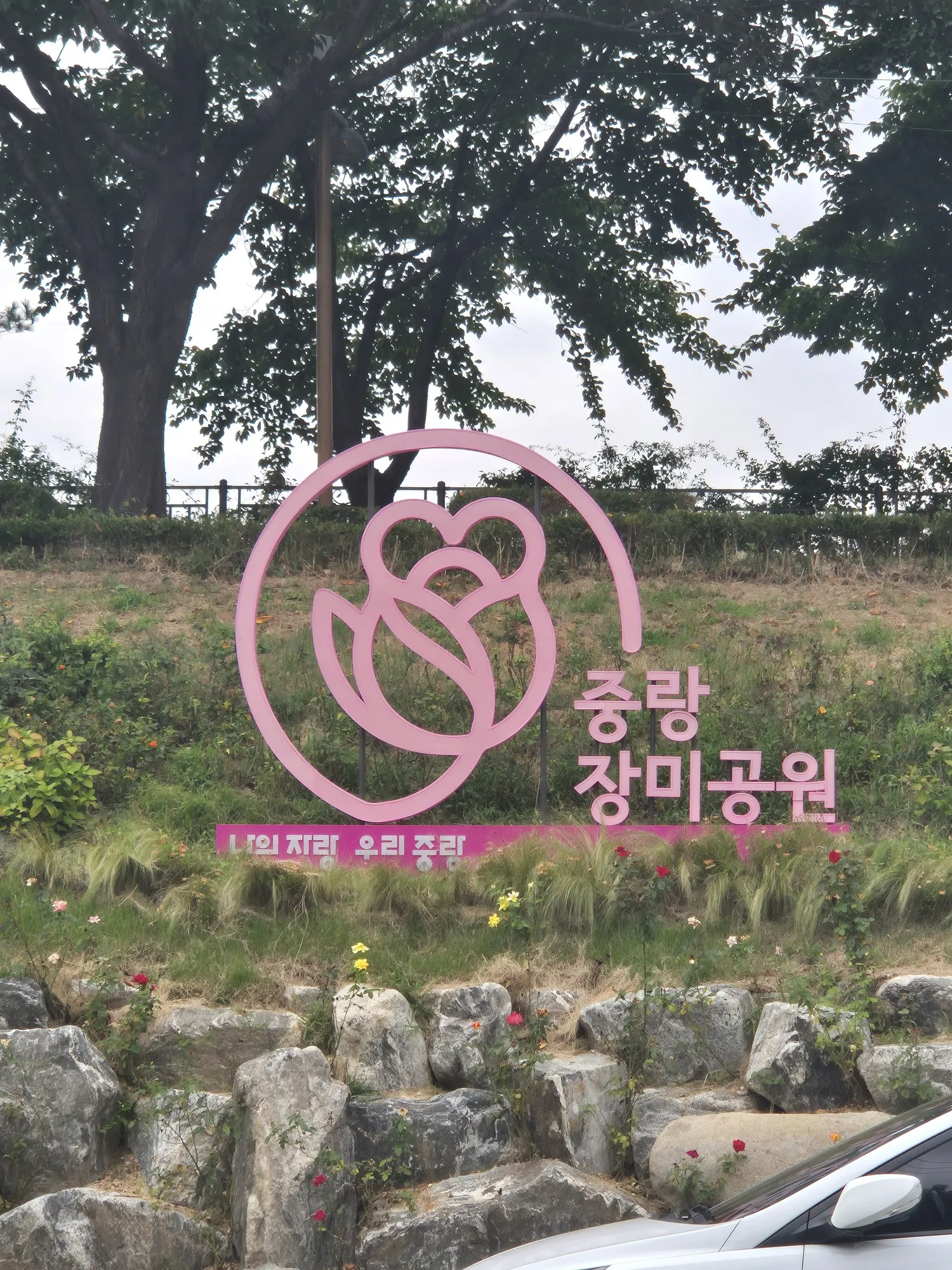 공원 — 중랑 장미공원